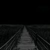 nass_3511