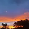 _pvnho_