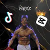 vinizxs77