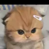 khanhngoccute299