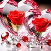 user56