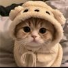syaa_lia3