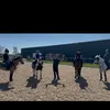 amelia.and.ponys
