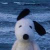 snoopy.i6