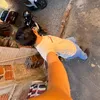 bielzinho_214