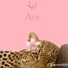 aay.ali41