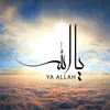 user7081254880131