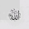 user19335822057104
