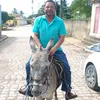 arnaldo.faustino8