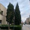 fauzia3232