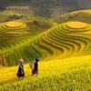 thc.anh6388