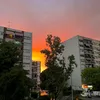 annaconda_258
