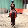 linde_bakker4