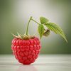 berryveganplanet