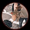 shafiqueijaz445