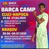 viscabars13