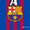 joeltiago.caal8