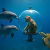 AIOCEAN