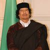 farag_moo
