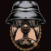 pitbullfijas1