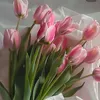 yasamin424