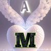 user92385773363351