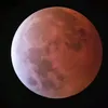 pl__ls