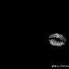 ivi_sb11