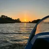 daxid_156