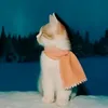 kikiara_silvwz