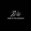 manahil14662