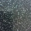 user9100650620708
