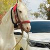 mohammed.aborawi4