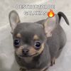un_wey_random12345