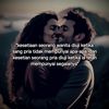 didin_2366