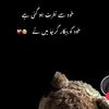 waqasbodla970