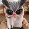 unknown.012672