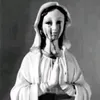 al119.l