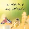 meer.khan3961