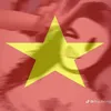 donhatvy213