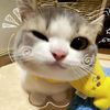shinta_038