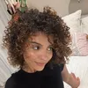 sibo.contreras