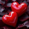.amia.islam
