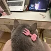 himekitty0