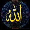 user270545954