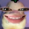 frythaaadumpszz