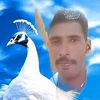 mar.s.a.rahman