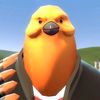 Pootis BB