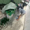 ng.anh.hoang1