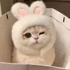 Góc Nhà Mèo 🐱